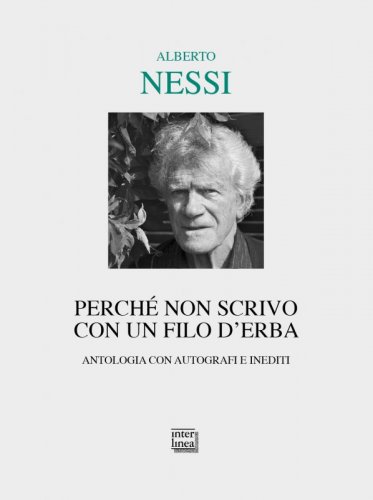 Perché non scrivo con un filo d’erba