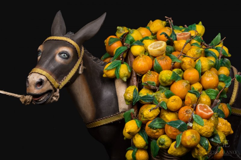 LETTURA INEDITA di Natale - C’è anche un asino tra le “Voci dal presepe” di Andrea Kerbaker