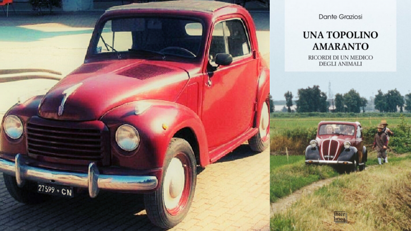 Torna la serie tv "Una topolina amaranto"