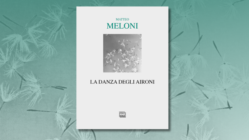 La danza degli aironi che scandisce il ritmo della montagna: l’esordio poetico di Matteo Meloni