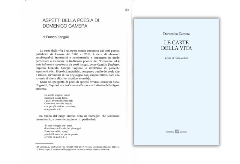 Le carte della vita