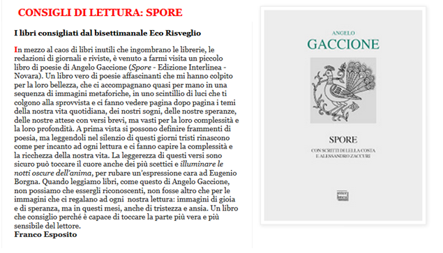 Spore