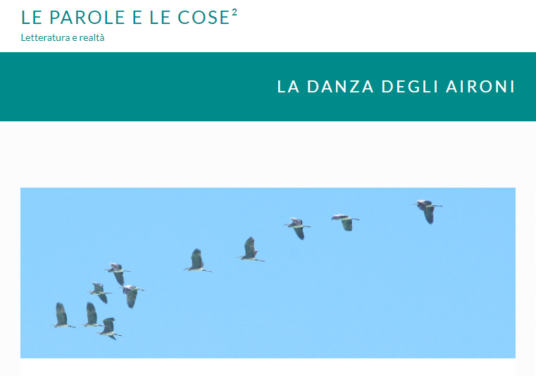 La danza degli aironi