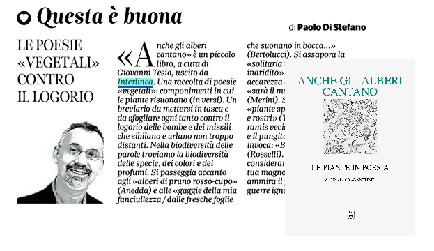 Anche gli alberi cantano