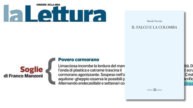Il falco e la colomba