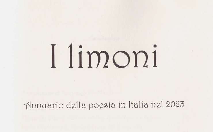 Foglie di tiglio